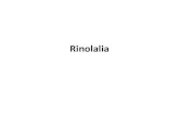 Rinolalia - Campus Autismo Diario · 2019. 10. 24. · Rinolalia Cerrada •El paso del aire a la nariz se ve disminuido afectándose la resonancia de los sonidos m, n, ñ. •Normalmente