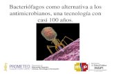 Bacteriófagos como alternativa a los antimicrobianos, una … · 2020. 6. 24. · Bacteriófagos como alternativa a los antimicrobianos, una tecnología con casi 100 años.