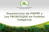 Experiencias de PINPEP y Ley PROBOSQUE en Pueblos Indígenas · 2016. 7. 26. · PINPEP- (Decreto No. 51-2010, Ley del PINPEP), es un instrumento de política forestal que el INAB