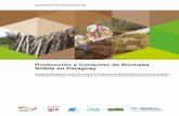 Publicación elaborada en el marco de un proyecto del Ministerio … · 2017. 1. 3. · Producción y consumo de biomasa sólida en Paraguay 5 Barbara Krause Directora Residente Cooperación
