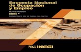 Encuesta Nacional de Ocupación y Empleo - INEGIN) (Nueva Edición) Estructura de la base de datos, el cual permite a los usuarios de la encuesta conocer cómo están conformadas las