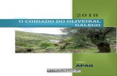 O COIDADO DO OLIVEIRAL GALEGOapag.gal/wp-content/uploads/2020/04/Revista-APAG-Galego... · 2020. 4. 8. · 3.2 Controlar o estado nutricional do oliveiral 14 3.3 ... Distribución