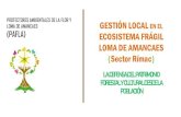 (PAFLA) ECOSISTEMA FRÁGIL LOMA DE AMANCAES (Sector …repositorio.serfor.gob.pe/bitstream/SERFOR/722/6/4... · 2019. 8. 2. · • Proyecto de biohuerto • Los miembros de PAFLA