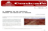 avt0177 - cenicafe.orgbiblioteca.cenicafe.org/bitstream/10778/955/1/avt0177.pdfPARENT. G. Guía de reforestación. Bucaramanga (Colombia). Corporación de Defensa de I a Meseta de