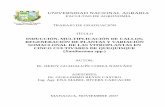 UNIVERSIDAD NACIONAL AGRARIAcenida.una.edu.ni/Tesis/tnf02c797.pdfBr. HEIDY GUADALUPE COREA NARVÁEZ ASESORES: Dr. GUILLERMO REYES CASTRO Ing. Agr. ENA MABEL RIVERS CARCACHE MANAGUA,