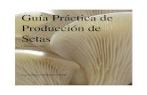 Guía Práctica de Producción de Setas - Grupo FungitechMODELO DE PRODUCCION PARA 10 CASAS Días 1 2345678910 1 l S L 2 m I L 3 m I L 4 j I L 5 v I L 6 s I L 7 d I L 8 l I S 9 m I
