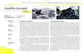 BIC M2-12 Castillo Carvajal - Geoportal IDESCidesc.cali.gov.co/download/bic_2014/BICM2-12.pdf · 2014. 12. 8. · desinterés de asumir como símbolo de identidad los símbolos patrios