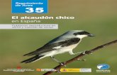 ElalcaudónchicoenEspaña. - SEO/BirdLife · 2018. 5. 4. · El alcaudón chico enEspaña Poblaciónreproductora en2010ymétododecenso ...