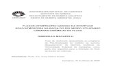 FLUXOS DE MERCÚRIO GASOSO NA INTERFACE SOLO/ATMOSFERA …repositorio.unicamp.br/jspui/bitstream/REPOSIP/249451/1/... · 2018. 8. 6. · SOLO/ATMOSFERA NA BACIA DO RIO NEGRO UTILIZANDO