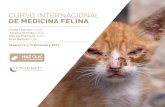 CURSO INTERNACIONAL DE MEDICINA FELINAdescuentos en la inscripciÓn curso de medicina felina En función de la fecha en la que te inscribas al curso, tendrás un 20% de descuento si