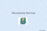 Microbiota Normal - Oswaldo Cruz Foundationcogetes.epsjv.fiocruz.br/storage/Textos_e_materiais_de...Microbiota Normal •Condições Fisiológicas e Ecológicas do local (nichos x