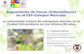 Seguimiento de Fauna (Entomofauna) en el CEI-Campus Moncloa … · 2014. 12. 5. · Seguimiento de Fauna (Entomofauna) en el CEI-Campus Moncloa: La comunidad urbana de mariposas diurnas