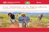 Los Jóvenes y la Agricultura · 2021. 2. 8. · Los Jóvenes y la Agricultura: Desafíos clave y soluciones concretas Publicado por la Organización de las Naciones Unidas para la