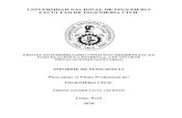 UNIVERSIDAD NACIONAL DE INGENIERIA FACULTAD DE …cybertesis.uni.edu.pe/bitstream/uni/15553/1/livia_ve.pdf · 2018. 12. 11. · universidad nacional de ingenieria facultad de ingenieria