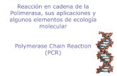 Reacción en cadena de la Polimerasa, sus aplicaciones y algunos … · 2016. 7. 8. · ¿PCR? 1983, Dr. Kary Mullis, Premio novel (1993) PCR = síntesis en progresión exponencial