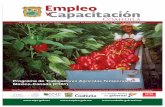 Empleo yCapacitación - Coahuila · Abril a Junio del 2014 Aprendizaje que se desarrolla en la práctica laboral, directamente en el proceso productivo de los centros de trabajo,