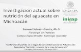 Investigación actual sobre nutrición del aguacate en Michoacáncesix.inifap.gob.mx/frutalestropicales/ponencias/3...Investigación actual sobre nutrición del aguacate en Michoacán