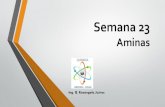 Semana 23 Aminas - WordPress.com · AMINAS • Las aminas son compuestos nitrogenados, derivados del Amoniaco (NH 3) • Las aminas se clasifican como 1°, 2° o 3°, según el numero