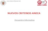 NUEVOS CRITERIOS ANECAcastillayleon.fespugt.es/images/pdfs/Ensenanza/... · 2018. 2. 7. · Juan Antonio Maroto Acín. Resumen del proceso: El objetivo del Grupo de Trabajo, creado