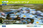 PLANTAS EN PELIGRO - European Commissionec.europa.eu/environment/archives/life/publications/life... · 2019. 1. 31. · PLANTAS EN PELIGRO IN SITU LIFE-Naturaleza y conservación