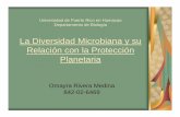 La Diversidad Microbiana y su Relación con la Protección Planetariasalterns/geomicrobiolgy/Diversidad... · 2006. 5. 1. · La Diversidad Microbiana y su Relación con la Protección