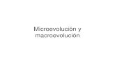 Microevolución y macroevoluciónjchinea/cursos/CIBI/Microevolucion.pdf · selección natural direccional o ... – La selección natural – La deriva genética – Los efectos de