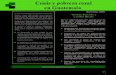 Crisis y pobreza rural en Guatemala - RIMISP...En Guatemala, la crisis incidirá en una merma en el presupuesto del año 2009 de aproximadamente 500 millones de dólares, y en un menor