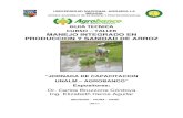 GUIA TECNICA CURSO – TALLER MANEJO INTEGRADO EN … · 2011. 10. 26. · curso – taller manejo integrado en produccion y sanidad de arroz “jornada de capacitacion unalm –