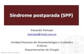 Síndrome postparada (SPP)biocritic.es/wp-content/uploads/2020/02/Síndrome-postparada-cardíaca.pdfGuía 2015. Sigue sin saberse si ciertas subpoblaciones de pacientes de parada cardiaca
