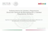 Subsecretaría de Calidad y Regulación Dirección General de ...€¦ · Agenda de Cooperación para el Fortalecimiento del Sistema Mexicano de Normalización y Evaluación de la