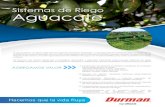 Sistemas de Riego Aguacate - Durman · 2020. 9. 28. · Revisión de diseños mediante Software especializado WaterCad – Epanet Automatización. Diferentes y variadas opciones de