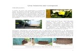 Historia del compost - Monografias.comUna historia del compost Introducción: A partir de que me empezaron a preguntar como se hacía el compost que tenemos en el jardín, empecé