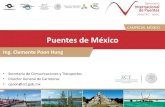 Puentes de Méxicoamivtac.org/vsip/assets/7.-clemente-poon.pdf · 2018. 6. 6. · Puente Mezcala Puente Baluarte 300m ≤ ≤ 520m 50m ≤ ≤ 163m Puente Atenquique II Puente Chiapas
