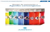 Riesgo de exposición a Agentes cancerígenosprevencion.asepeyo.es/wp-content/uploads/R1E16014-Guía... · 2017. 3. 7. · riesgo de exposición a agentes cancerígenos 5 Índice