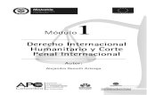 Derecho Internacional Humanitario y Corte Penal Internacional · 2017. 3. 21. · 10 Derecho Internacional Humanitario y Corte Penal Internacional en últimas, que sean conscientes