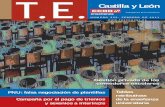 Castilla y León · 2011. 2. 16. · ICAL, jueves 27 de enero de 2011 CCOO reclama a la Consejería de Educación que abone al funcionariado interino los trienios y sexenios. ICAL,