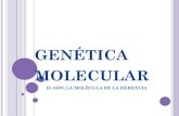 genética molecular...GENÉTICA MOLECULAR: MÁS PREGUNTAS…. ¿Qué son los genes? ¿Dónde se encuentran los genes? ¿Todas las células de un individuo tienen los mismos genes?