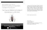 “La Chinche Foliada de los Pinos” Leptoglossus occidentalis · 2020. 5. 4. · Serie de divulgación sobre insectos de importancia ecológica, económica y sanitaria ISSN Impreso:
