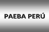 PAEBA - Ministerio de Educación y Formación Profesional82bf1324-9630-440b...5 centros pertenecientes a la red de CEBA del Ministerio de Educación, bajo la administración y supervisión