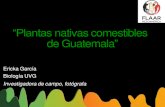 “Plantasnativascomestibles deGuatemala...Características de países Megadiversos ¿Qué es una planta? ¿Qué esunaplanta nativa? Unpocodehistoria Alta cocina SeguridadAlimentaria