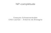 NP-complétude - IRISApeople.irisa.fr/Francois.Schwarzentruber/mit1_algo1_2012/... · 2012. 12. 5. · Thèse de Cobham-Edmonds problème polynomial = facilement résoluble n1000000?