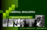 RENAL IMAGING · 2020. 11. 29. · hemangioma. RCC Angiomyolipoma 2 cases. LYMPHOMA. CYSTIC RCC. F 3Y. TNM Stage Robson Description TNM Stage I Tumor confined to renal capsule Small