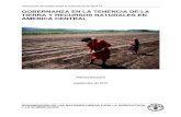 LTWP-18 Central America - FAO · 2021. 2. 8. · 1. Introducción a la gobernanza en la tenencia de la tierra y recursos naturales para Centro América 1.1. El concepto de Gobernanza