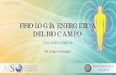 FISIOLOGÍA ENERGÉTICA DEL BIOCAMPO...QUÉ HAY DE NUEVO EN SINTERGÉTICA 2020 – Dr. Jorge Carvajal FISIOLOGÍA ENERGÉTICA DEL BIOCAMPO Perspectiva moderna • Diferencias de potencial