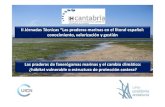 II Jórnadas Técnicas “Las praderas marinas en el litoral español: … · 2013. 11. 21. · ↑ Cota de inundación. PROYECCIÓN DE VARIABLES METEOCEANOGRÁFICAS. ... variable