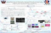 Presentación de PowerPoint - UDGfisica.cucei.udg.mx/simposiomateriales/posters/09.pdf · 2Departamento de Ingeniería Química, 3Departamento de Química, Universidad de Guadalajara,