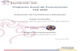 Programa Anual de Evaluaciones PAE 2020 · 2021. 1. 11. · Como parte del Programa Anual de Evaluaciones 2020 (PAE) del Ayuntamiento de Rayón, se realizó la presente evaluación