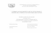 CORRELACION MODULO DE ELASTICIDAD vs GRADO DE …biblioteca2.ucab.edu.ve/anexos/biblioteca/marc/texto/AAU... · 2020. 12. 11. · AMUNDARAY INGENIERIA GEOTECNIA, C.A, en especial