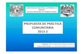 PROPUESTA DE PRÁCTICA COMUNITARIA 2013-2 · 2013. 1. 14. · Nombre de la práctica: “Animación sociocultural y desarrollo comunitario” en el municipio de Nezahualcóyotl, Edo.