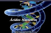 Ácidos Nucleicos · 2014. 3. 22. · Estructura terciaria •El ADN se almacena en un espacio reducido para formar los cromosomas. • En procariotas es una super hélice, generalmente